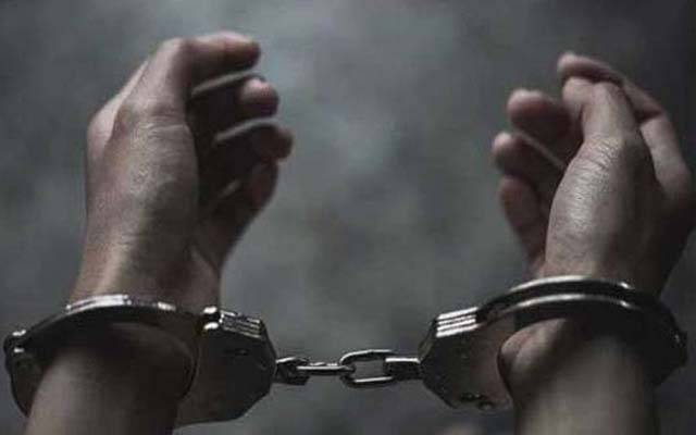 سنیچنگ ،چوری و ڈکیتی  میں ملوث 7 ملزم پکڑے گئے 
