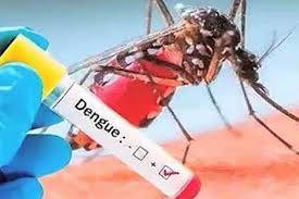 اسلام آباد میں گزشتہ 24 گھنٹوں میں ڈینگی کے 10 نئے کیسز ، تعداد 44 ہو گئی  