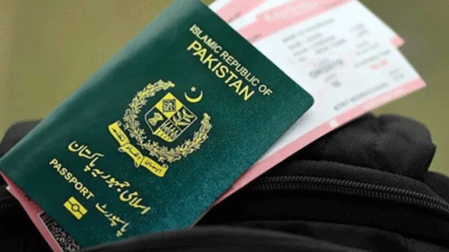 Pakistani Passport, Tariq Fazal Choudhry, National Assembly, 