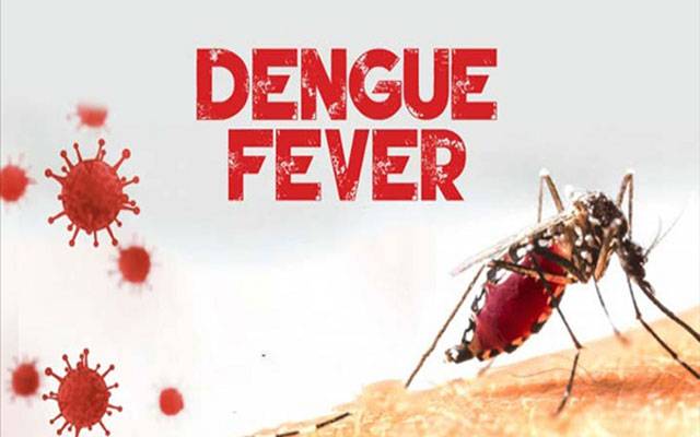 سندھ ؛ ڈینگی سے مزید 4 افراد جاں بحق، ایک دن میں سینکڑوں نئے کیسز رپورٹ 