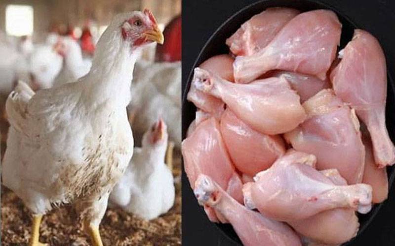 مرغی کے گوشت کی قیمت پھر بڑھنے لگی