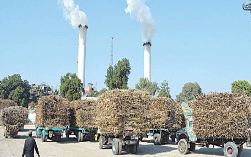حکومتی وارننگ کام کرگئی، 27 شوگر ملوں نے کرشنگ شروع کردی  