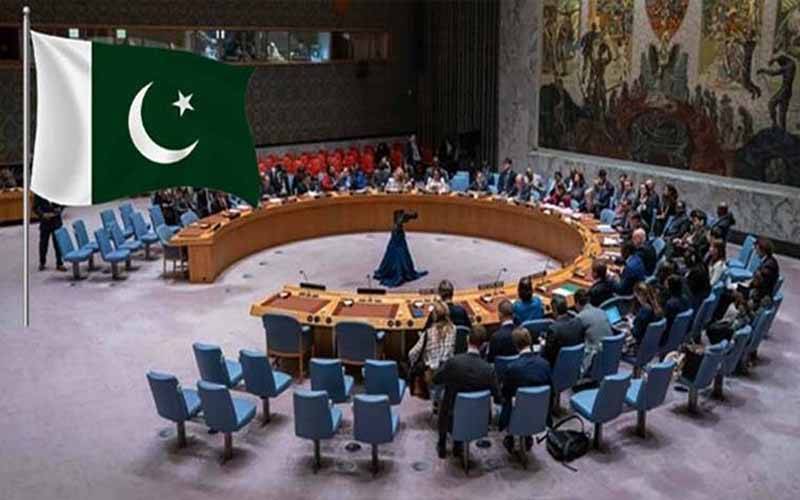 اقوام متحدہ : پاکستان کی قرارداد برائے حق خود ارادیت متفقہ طور پر منظور  