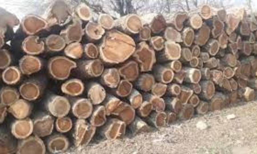 لکڑی اسمگلنگ میں ملوث شخص پر ملکی تاریخ کا سب سے بڑا جرمانہ عائد