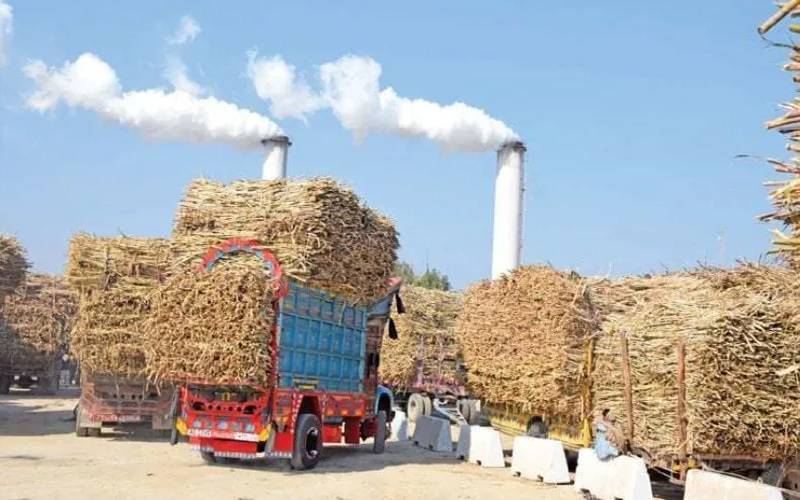 پنجاب کی تمام 41 شوگر ملز نے کرشنگ کا آغاز کردیا   