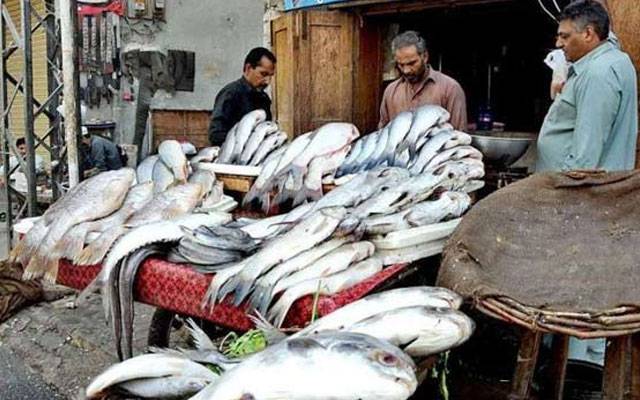موسمِ سرما کے رواں سیزن میں سمندری پروٹین کی قیمتوں میں نمایاں اضافہ