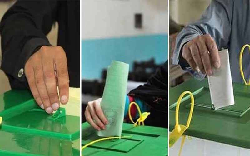 ضمنی انتخابات؛ قومی اسمبلی کی 4 اور صوبائی کی 6 نشستوں پر ن لیگ کامیاب  