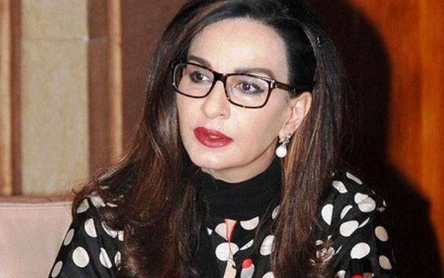 ملک میں 480 جینڈر بیسڈ کورٹس قائم ہیں لیکن نتائج صفر ہیں؛ شیری رحمان