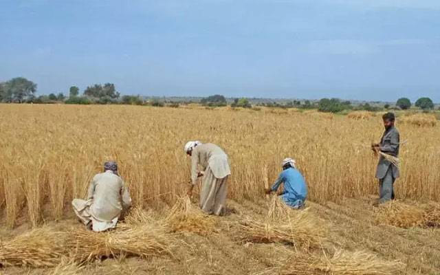    کسانوں کے لیے خوشخبری