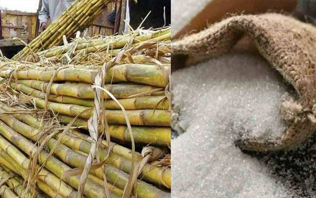 گنے کی قیمتیں بڑھانے میں سازش،  10شوگر ملز کو شوکاز نوٹس جاری
