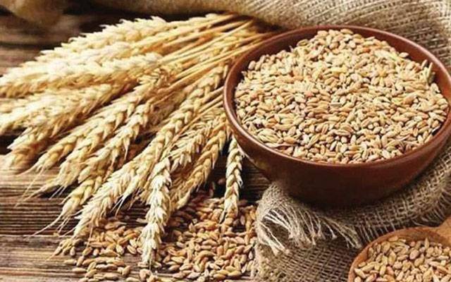 آئندہ سیزن گندم کا سرکاری ریٹ 3500 روپے من مقرر کیئے جانے کا امکان
