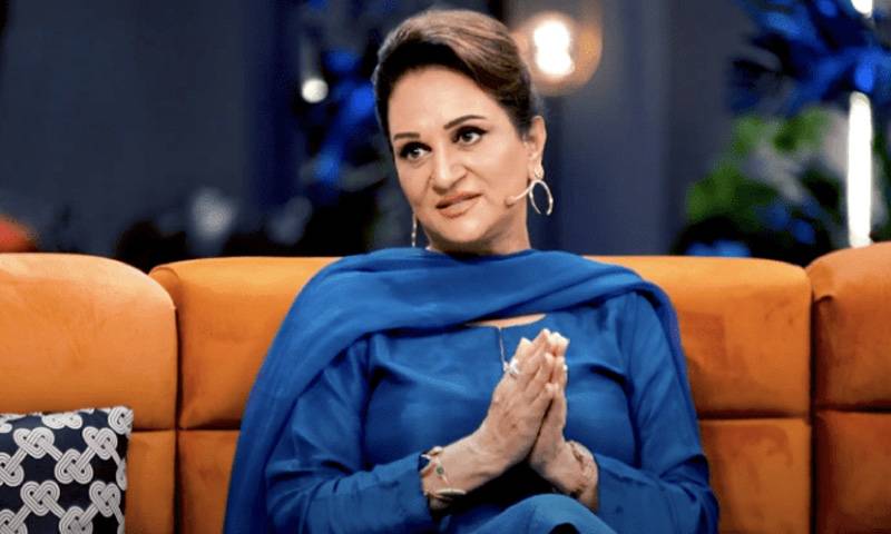 کراچی کی گندگی، ٹوٹی سڑکیں اور ناقص انفراسٹرکچر، بشریٰ انصاری کا شدید اظہار برہمی