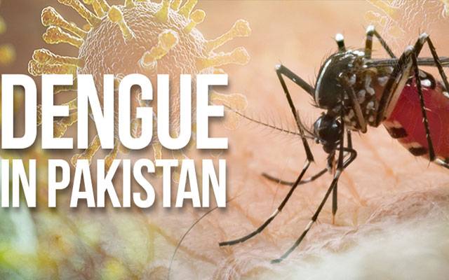 ڈینگی کے وار ، مزید 8 افراد میں وائرس کی تصدیق
