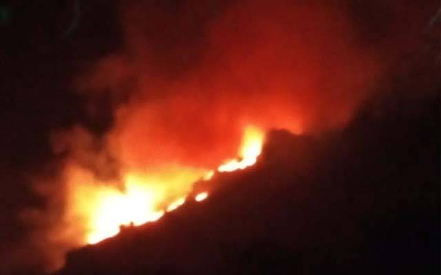 مری کے جنگل میں شدید آگ بھڑک اٹھی 