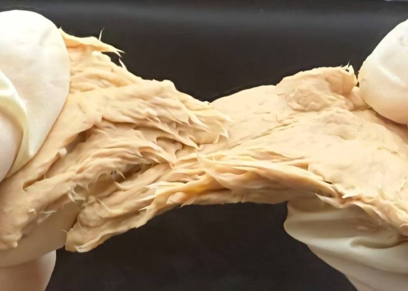  فنگس کی مدد سے چکن کا متبادل،چینی سائنسدانوں نے بڑی کامیابی حاصل کرلی