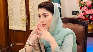 وزیراعلیٰ پنجاب کے 