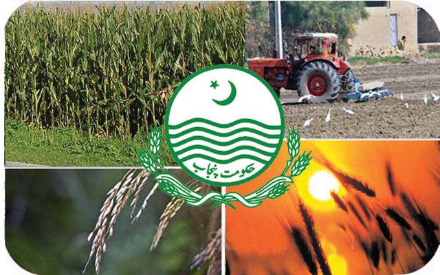 پنجاب حکومت کا زرعی مشینری پر 60 فیصد سبسڈی دینے کا پلان فائنل
