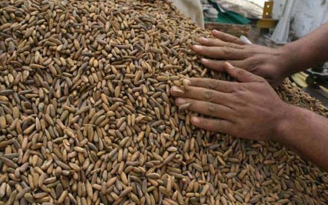 گوجرانوالہ میں دن دیہاڑے بڑی واردات؛ لاکھوں روپے کے چلغوزے چوری 