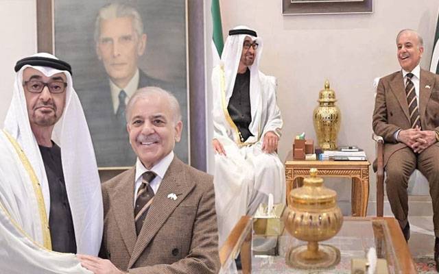 وزیراعظم شہبازشریف اور متحدہ عرب امارات کے صدر کی ملاقات، پائیدار ترقی کے مشترکہ اہداف پر اتفاق