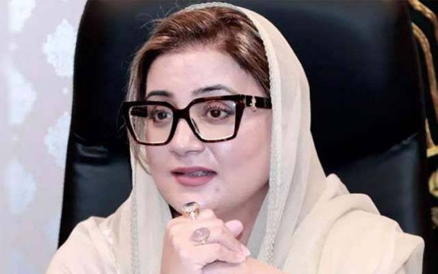 سہیل آفریدی پاکستان کا یورپ دیکھنے لاہور آئے ہیں: وزیراطلاعات پنجاب