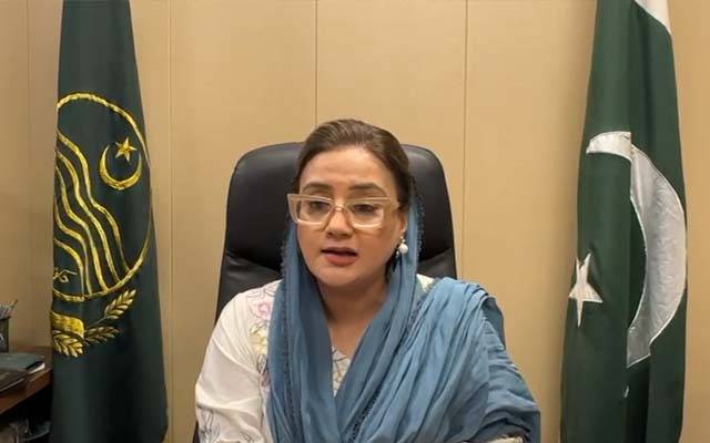 لاہور میں بسنت پرگڈوں اور ڈور بنانے کی اجازت؟ صوبائی وزیر اطلاعات کا اہم بیان 
