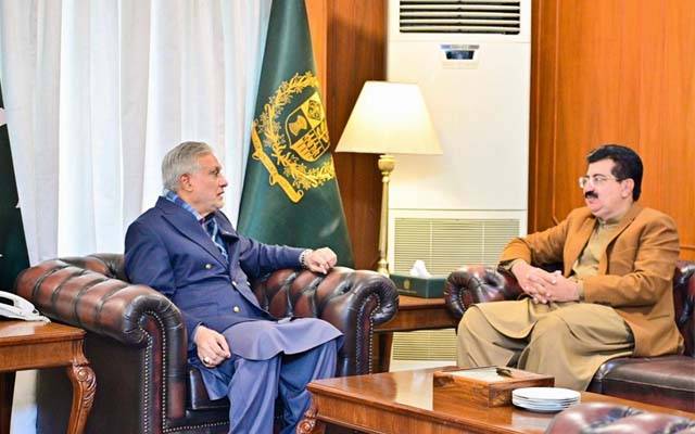نائب وزیر اعظم سے سابق چیئرمین سینٹ کی ملاقات