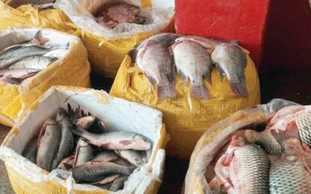 لاہور ; ماڈل فش مارکیٹ بنانے کا فیصلہ 