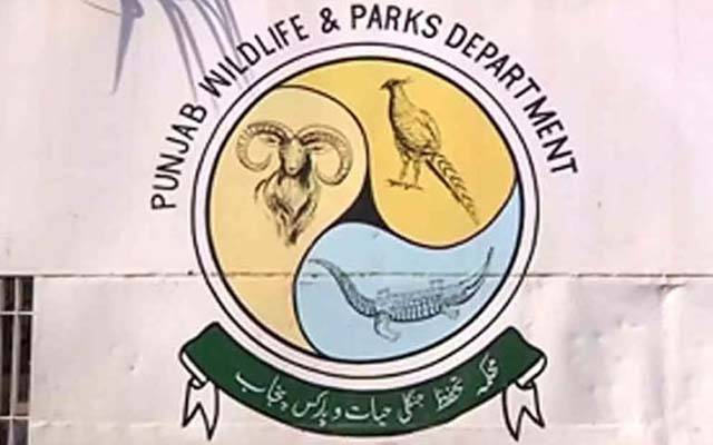 پنجاب حکومت کا 43 وائلڈ لائف پروٹیکشن سنٹرز کے قیام کا اعلان
