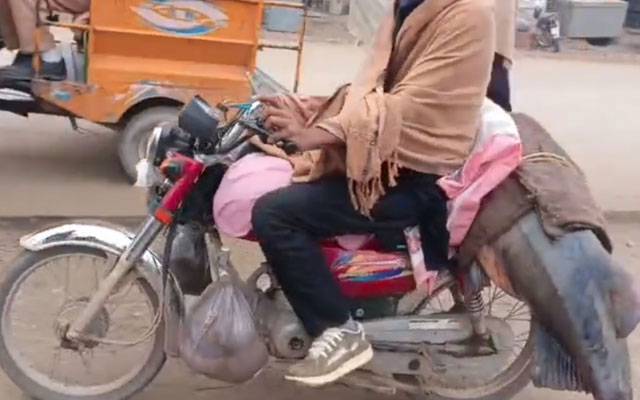 شکرگڑھ کے مچھیرے نے دریائے راوی سے 102کلو وزنی مچھلی پکڑ لی