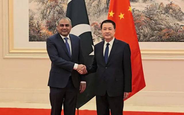 محسن نقوی کی چینی وزیرداخلہ سے ملاقات، انسدادِ دہشت گردی سے متعلق مشترکہ اقدامات پر تبادلہ خیال 