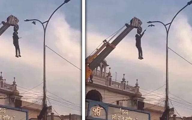 اپنی جان خطرے میں ڈال کر پرندےکو بچانے والا  شخص ہیرو بن گیا