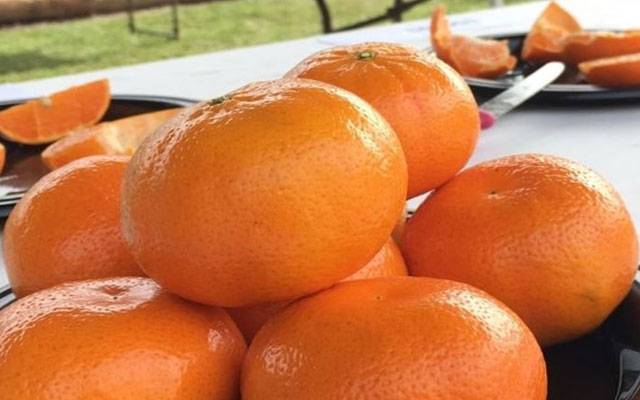  کینو کے حیرت انگیز فوائد