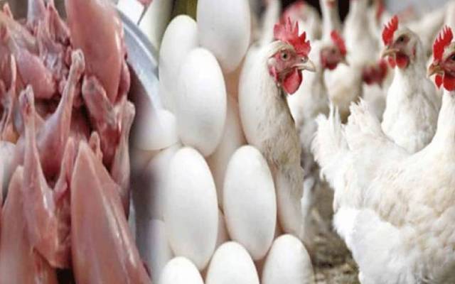 لاہور: چکن کی قیمت آسمان پر، عوام پریشان