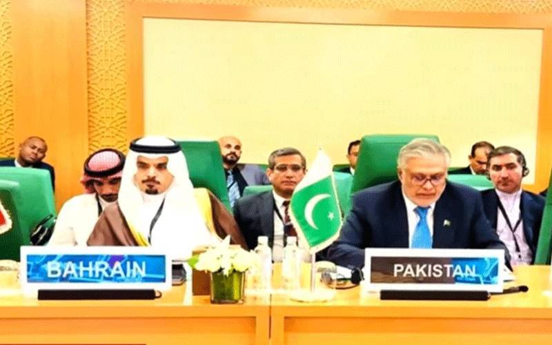 فلسطین اور صومالیہ میں استحکام کیلئے عالمی تعاون ضروری ہے،اسحاق ڈار  