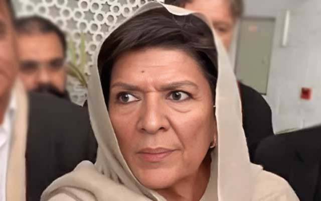  آٹھ فروری کی کال ہمارے الائنس کی ہے، بانی کی نہیں; علیمہ خان
