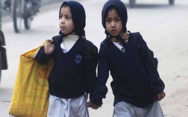 چھٹیوں میں مزید اضافہ ،وزیر تعلیم نے قیاس آرائیوں کو مسترد کردیا