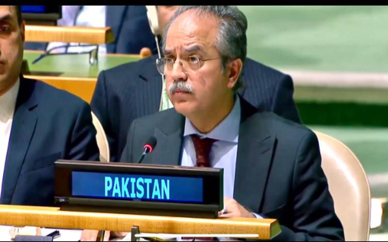 عالمی قوانین کے تحت مسئلہ فلسطین اور کشمیر کا حل ضروری ہے: پاکستان  