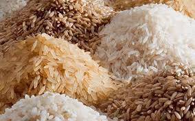 چاول کی قیمتوں کو بھی پر لگ گئے