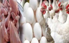 شادیوں کے سیزن کے باعث برائلر گوشت کی کھپت میں اضافہ، قیمتیں برقرار