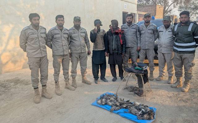 وائلڈ لائف کے پانچ میٹ سپلائرز اور سمگلرز گرفتار 