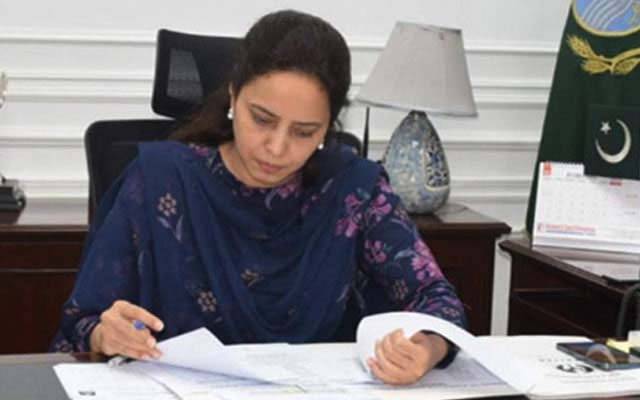 لاہور میں اس وقت پتنگ بازی پر پابندی ہے؛ تمام محکمے اور ضلعی انتظامیہ الرٹ