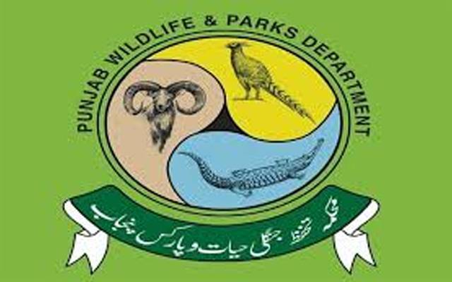 پنجاب میں وائلڈ لائف سروسز کیلئے نیا پلیٹ فارم متعارف