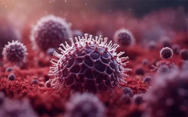 پاکستان میں نِپاہ وائرس کے ممکنہ پھیلاؤ کا خدشہ! ہائی الرٹ جاری 