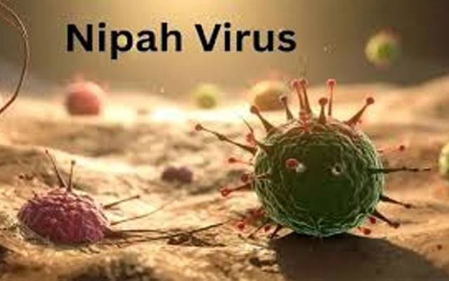 نپاہ وائرس کیا ہے؟ کتنا خطرناک اور کیسے پھیلتا ہے؟ اہم تفصیلات سامنے آگئیں 
