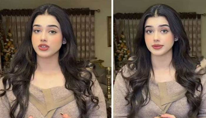 نازیبا ویڈیو اسکینڈل: علینہ عامر کا معلومات فراہم کرنے پر نقد انعام کا اعلان