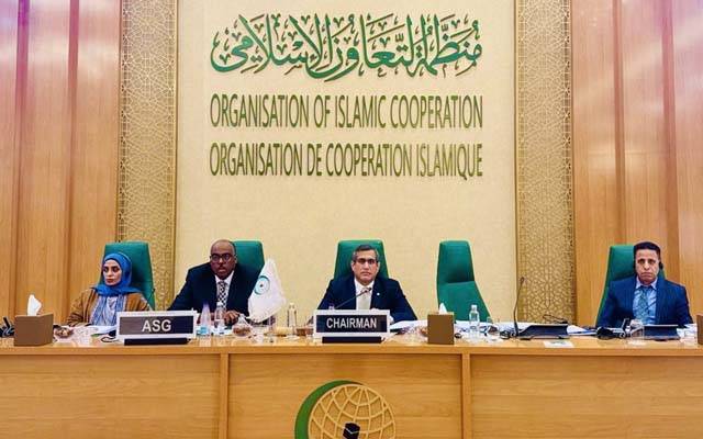 پاکستان کو ایک اور اعزاز مل گیا ؛او آئی سی اسلامی کمیشن کا نائب چیئرمین منتخب 