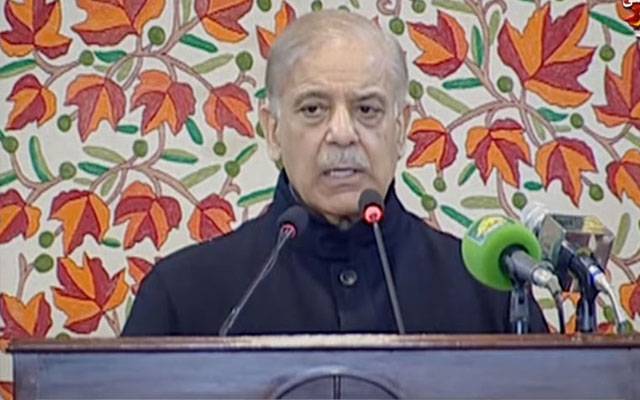 بھارتی کٹھ پتلیوں کا حال انڈین طیاروں کی طرح ہوگا:شہباز شریف