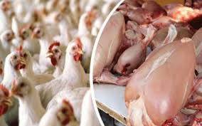 بسنت کے موقع پر چکن گوشت کی مانگ میں اضافہ، قیمتیں بڑھ گئیں