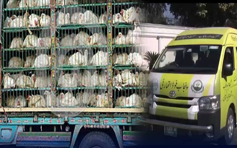 پنجاب فوڈ اتھارٹی کی کاروائیاں، 25 من مردہ مرغیاں، ساڑھے 3 من گائے و بکرے کا گوشت تلف 