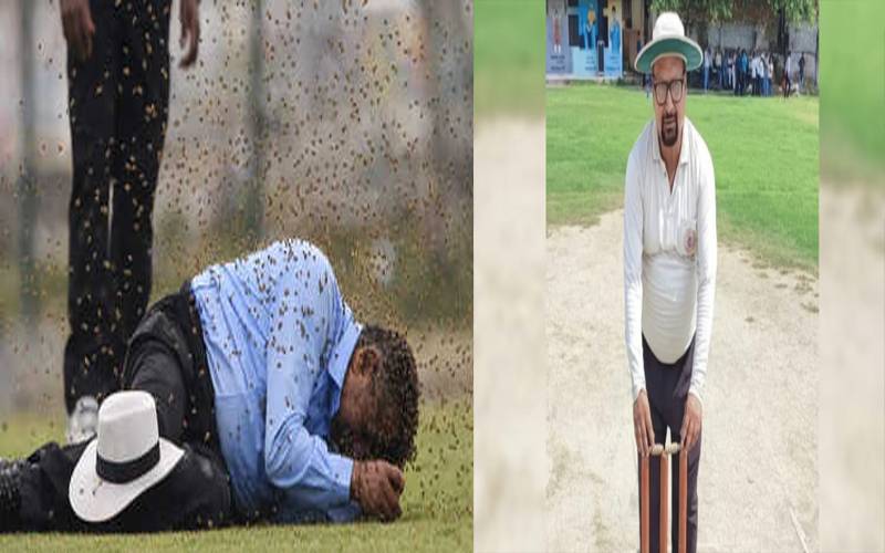 کرکٹ میچ کے دوران مکھیوں کا حملہ، امپائر ہلاک
